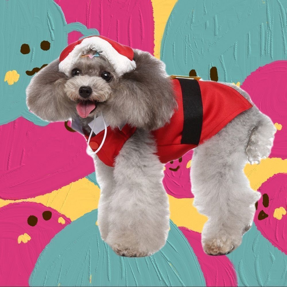 🎅🎄Christmas Pet Tuxedo Set🎄🎅